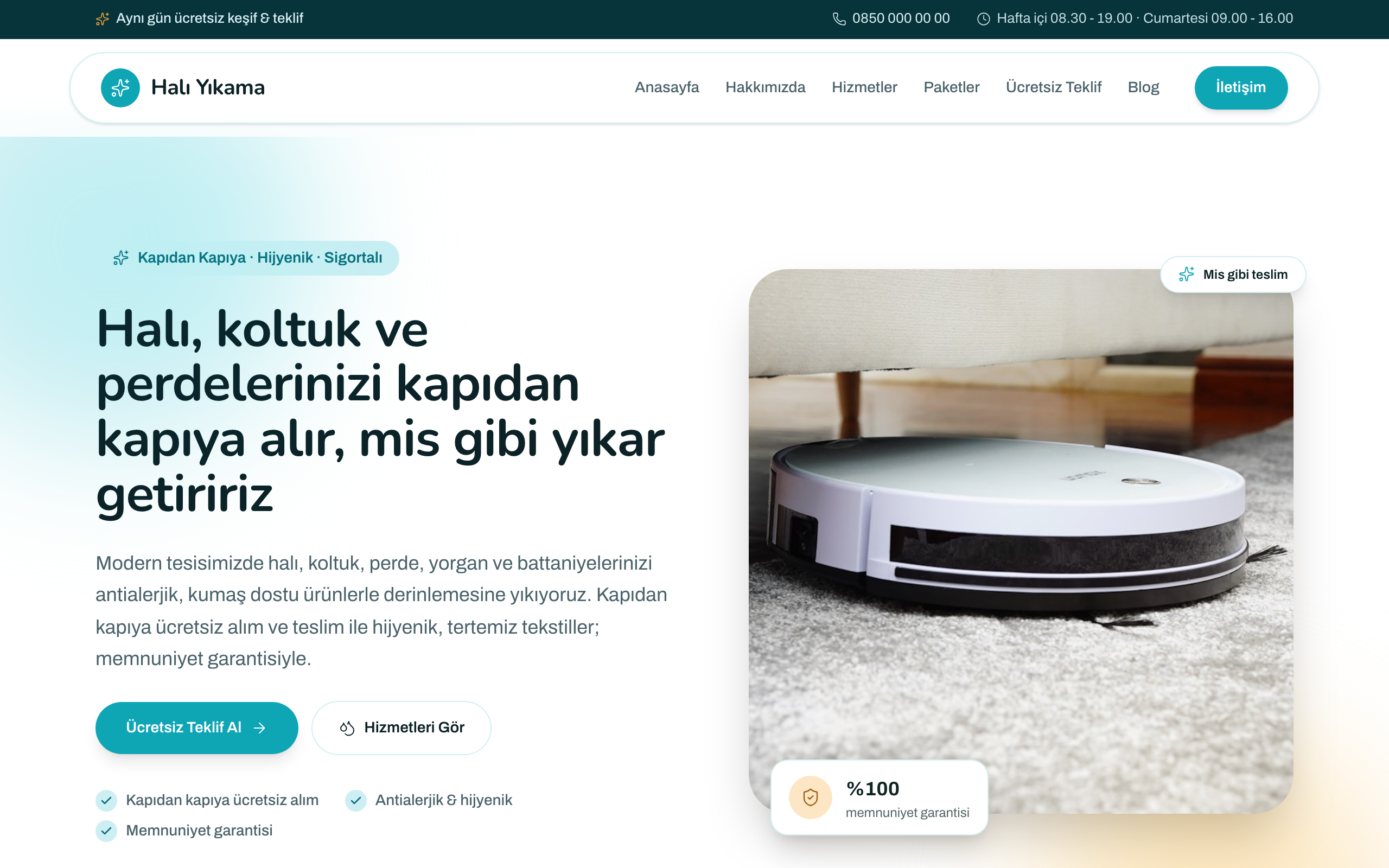 Published homepage of the Carpet Cleaning theme