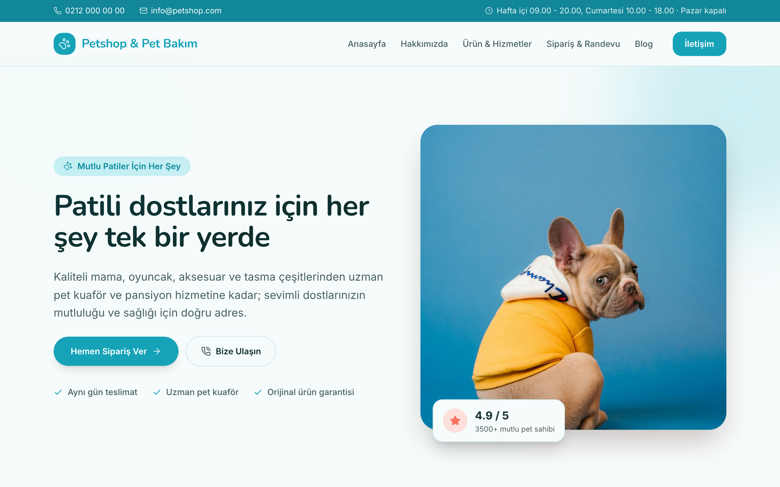 Petshop temasının yayınlanmış ana sayfası